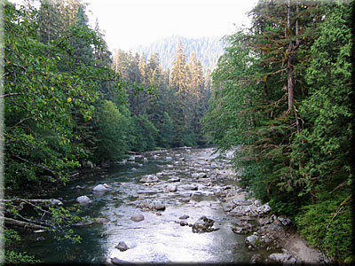Picture 1
