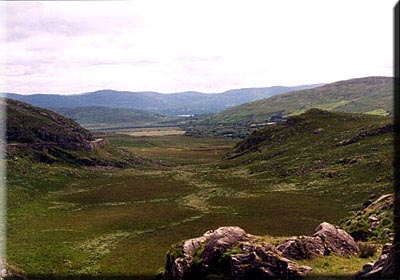 picture1