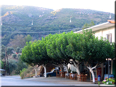 Picture 1
