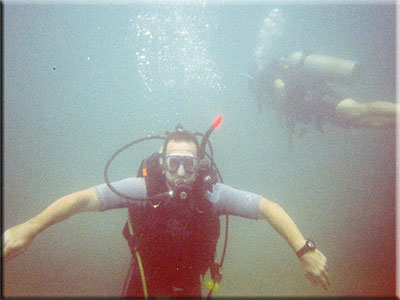Picture 1