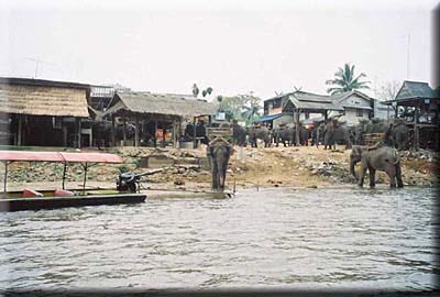 picture2