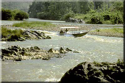 picture3