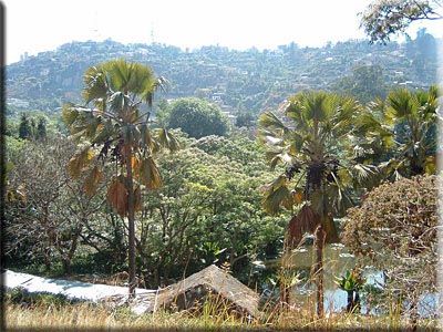 pic3