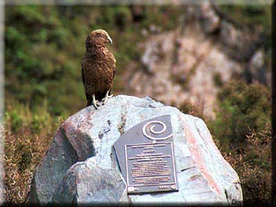 Kea